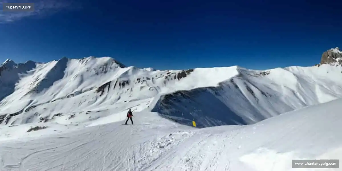 我们的核心竞争力